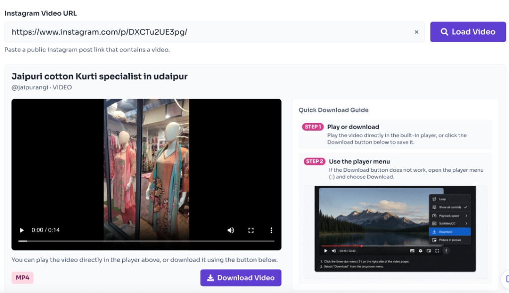 How to Use This Tool? — Download MP4 — Instagram Video Downloader - preview the video and click Download Video